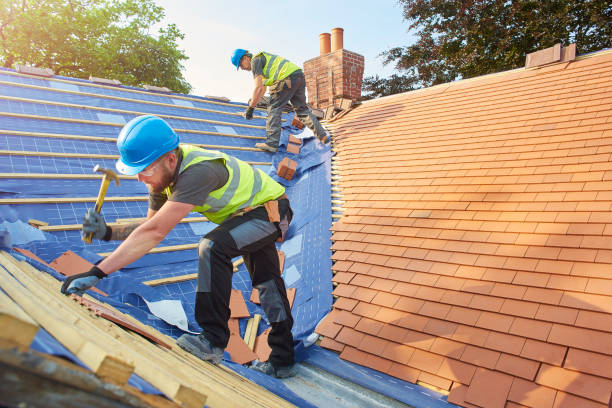 Best Wood Shake Roofing  in Grafton, ND